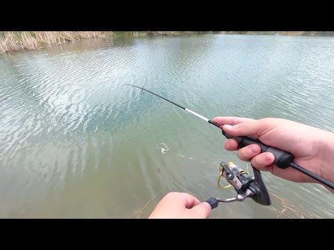 Видео: Так может только МОРМЫШИНГ! Эффективная ловля любой рыбы на Спиннинг