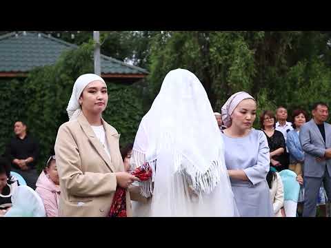 Видео: Той 1-болим