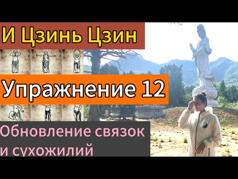 Видео: И Цзинь Цзин. Двенадцатое упражнение. Дарья Патока. Урок 6