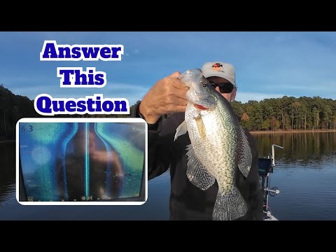 Видео: Ответьте на этот вопрос — Ловля краппи — Боковая съемка