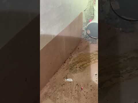 Видео: 😱 НЕ ТОЛЬКО ПЛЕСЕНЬ: ЧТО ЕЩЁ МЫ ВСТРЕТИЛИ ПРИ ОСМОТРЕ КВАРТИР — ЖК «ГРИНВУД» (TIS) #приемка