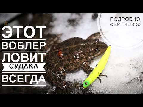 Видео: ЭТОТ ВОБЛЕР ВСЕГДА ЛОВИТ НОЧНОГО СУДАКА НА МОСКВА РЕКЕ