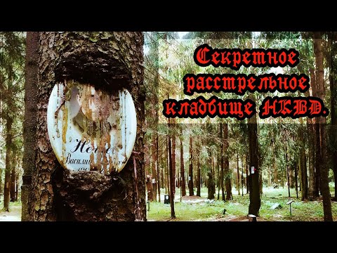 Видео: Левашовская пустошь.