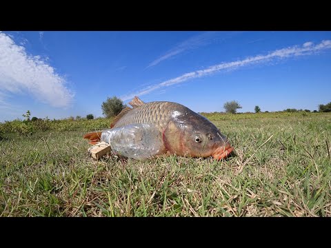 Видео: БУТЫЛКА, ПОПЛАВОК, НОЧНАЯ РЫБАЛКА. Ловля сазана на бутылку с каяка. Рыбалка на поплавок с ночевой.