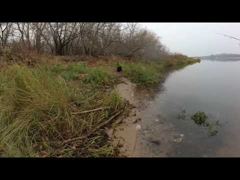 Видео: Fario nt Morm и мормышка. Или когда рыба не клюёт, от слова совсем.