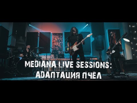 Видео: Mediana live sessions: Адаптация Пчёл