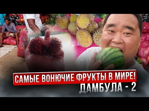 Видео: Эти фрукты воняют трупами! Цены в Шри-Ланке. Прогулка в Дамбуле.