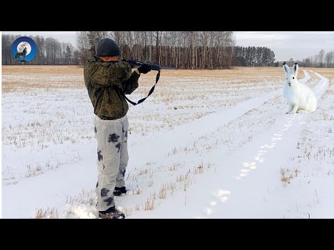 Видео: ОХОТА ТРОПЛЕНИЕМ НА ЗАЙЦА БЕЛЯКА В ОДИНОЧКУ