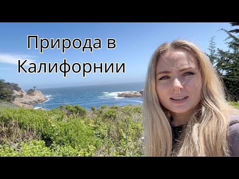 Видео: США 🇺🇸 Природа в Калифорнии / Любимые места в Калифорнии