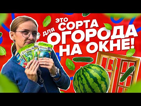 Видео: ЧТО СЕЯТЬ В ОГОРОДЕ НА ОКНЕ?