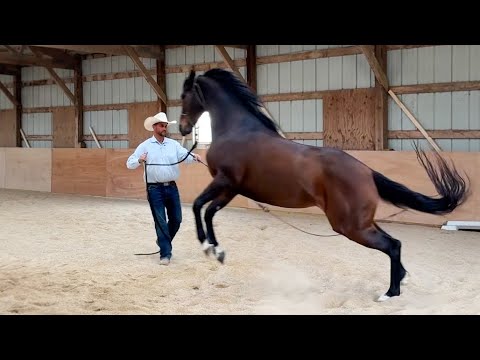 Видео: Она чувствует, что вот-вот взорвется.