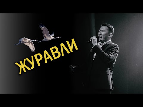 Видео: Проникновенно спел песню "Журавли"
