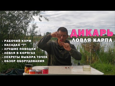 Видео: Дикарь 3. Как всегда ловить сазана и карпа. Подробно про мою ловлю+ практические советы. Карпфишинг