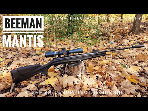 Видео: Пневматическая винтовка магнум Beeman Mantis GP. Обзор, тест, мнение.