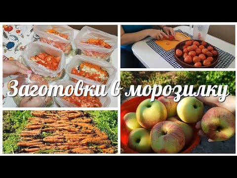 Видео: ЗАГОТОВКИ на зиму в морозильную камеру / Уборка УРОЖАЯ