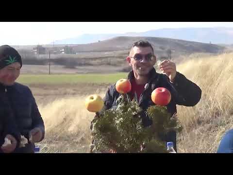 Видео: Свети Трифун 2023 Кучичино 1 дел