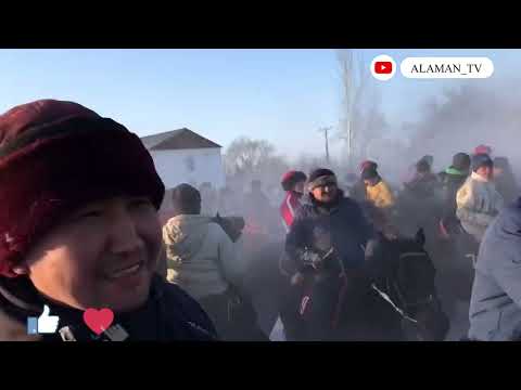 Видео: Аламан! Кара Балта Монолдор айылында болгон Аламан улак 17 02 2022