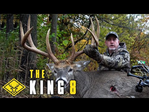 Видео: КОРОЛЬ 8 | ГИГАНТСКИЙ олень ВЫЗОВЁН на 20 ярдов!