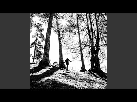 Видео: Иволга