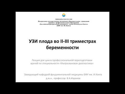 Видео: УЗИ плода: 2 скрининг.