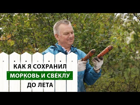 Видео: Как я СОХРАНИЛ МОРКОВЬ и СВЕКЛУ до лета. Секреты долгого хранения