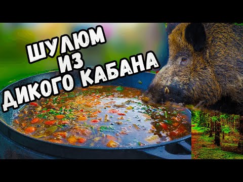 Видео: ШУЛЮМ / ШУЛЮМ из ДИКОГО КАБАНА / ШУЛЮМ РЕЦЕПТ / ОХОТНИЧИЙ ШУЛЮМ / ШУЛЮМ из БАРАНИНЫ / ШУЛЮМ ДОМАШНИЙ