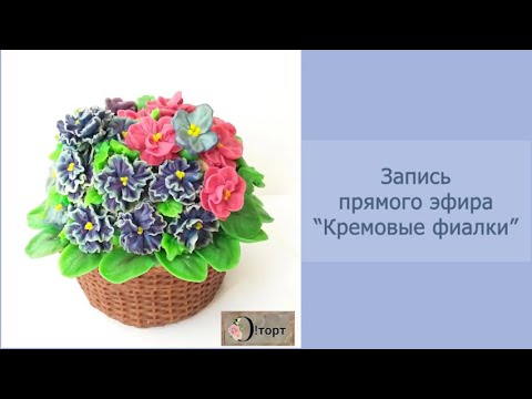 Видео: Кремовые фиалки. Запись прямого эфира.