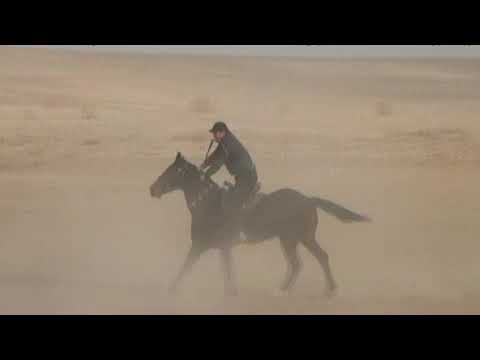 Видео: Оразжан көкпары 4-бөлім