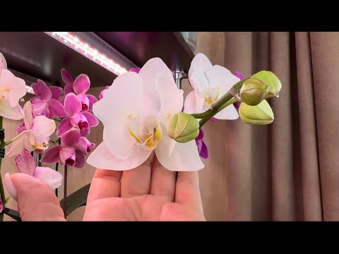 Видео: Что новенького ?! Все  покажу 