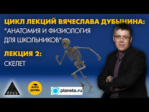 Видео: Вячеслав Дубынин: "Скелет" (Лекция 2)