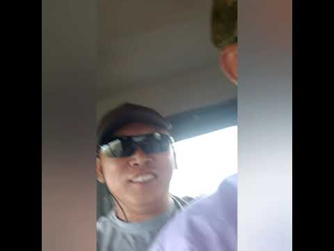 Видео: Низовья каратала