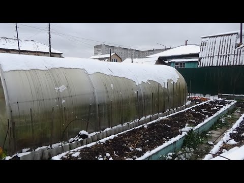 Видео: Желаю всем спокойной зимы!  Ответы на вопросы зрителей про огород.