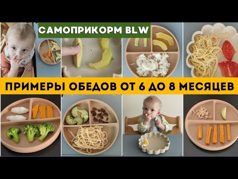 Видео: ЧЕМ НАКОРМИТЬ РЕБЕНКА от 6 до 8 месяцев 👶 САМОПРИКОРМ БЛВ 🥦🧅🥑 ПРИМЕРЫ ОБЕДОВ ДЛЯ МАЛЫША