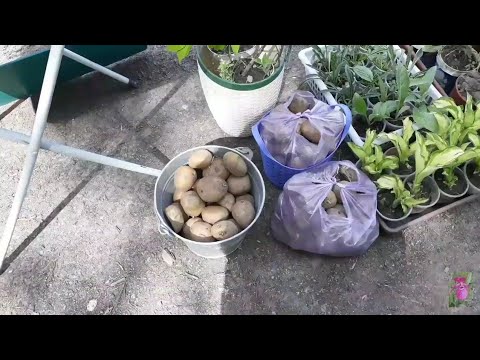 Видео: #ТорговляНаТрассе#МойПокупатель!!!😍😍😍