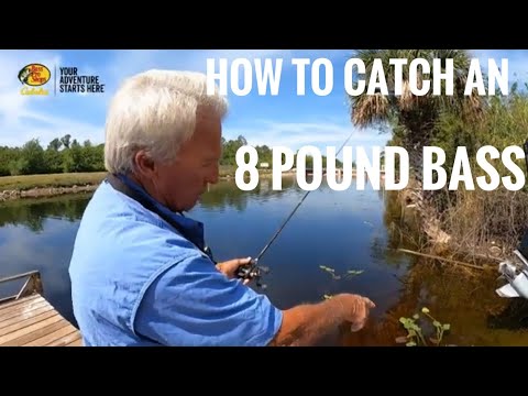 Видео: Как поймать 8-фунтового окуня