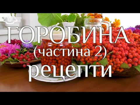 Видео: ГОРОБИНА. (частина 2) Рецепти