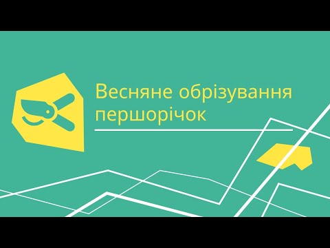 Видео: Весняне обрізування троянд першого року життя у вас