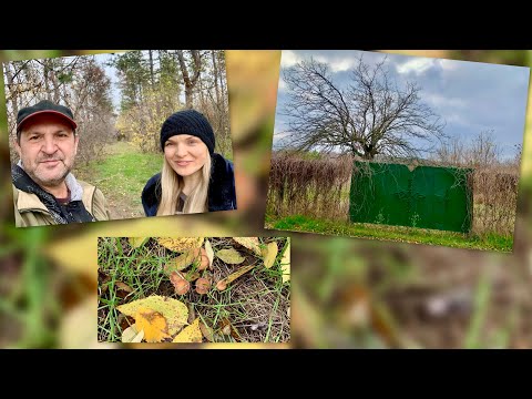 Видео: Осенние путешествия и впечатления!!