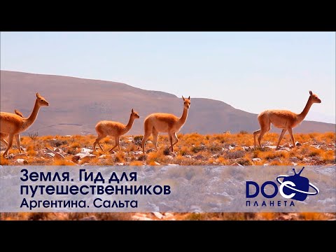 Видео: Земля. Гид для путешественников. Аргентина - Фильм 3.Сальта - Документальный фильм