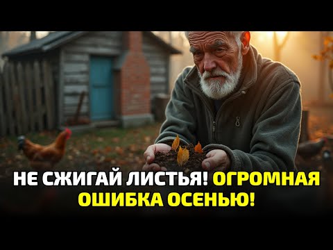 Видео: Не копай и не удобряй! Один лист делает землю живой и плодородной!