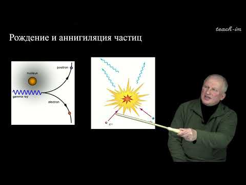 Видео: Широков Е.В. - Физика ядра и частиц - 4. Физика частиц