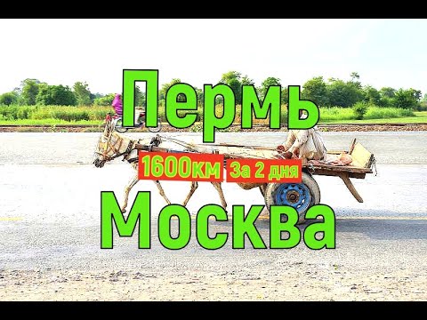Видео: Пермь-Москва На древней колеснице 1600км.