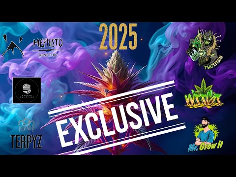 Видео: ОБЯЗАТЕЛЬНАЯ ГЕНЕТИКА 2025 ГОДА (Новое)