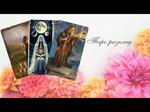 Видео: 💛Следващите действия на намисления човек към Вас..? ❤️Ще има нужда от това да поговорите...💛