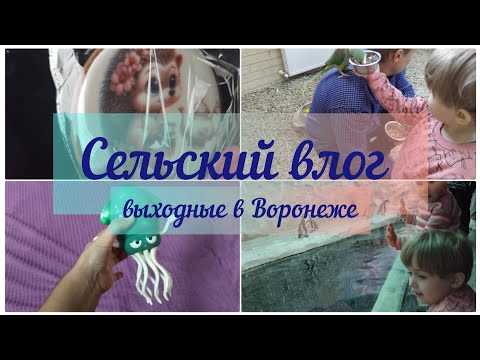 Видео: Выходные в Воронеже. ВОРОНЕЖСКИЙ ОКЕАНАРИУМ И ПАРК ПОПУГАЕВ. СЕЛЬСКИЙ ВЛОГ 