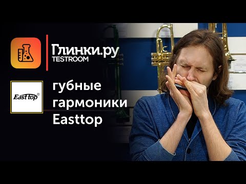 Видео: Губные гармоники Easttop - Юрий Синицкий - Глинки.Ру Testroom