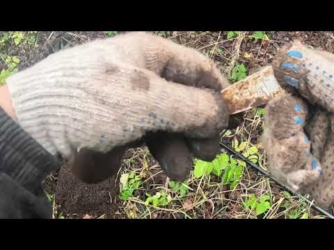 Видео: монеты Александра