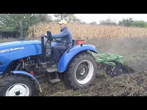 Видео: Дискуем фацелию