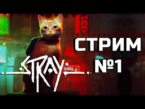 Видео: КОТ, РОБОТЫ И КИБЕРПАНК ► Stray СТРИМ №1