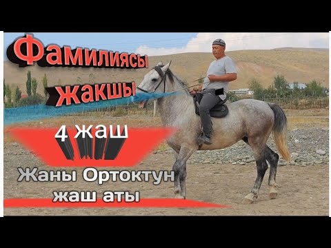 Видео: Жаңы Ортоктун жаңы аты